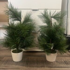 Set of 2 Threshold Tabletop Arrangement